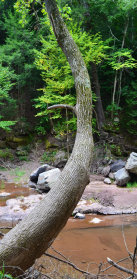 mywebsite001004.jpg